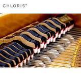 Рояль Chloris HG-168E, фото 2