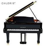 Рояль Chloris HG-168E, фото 4