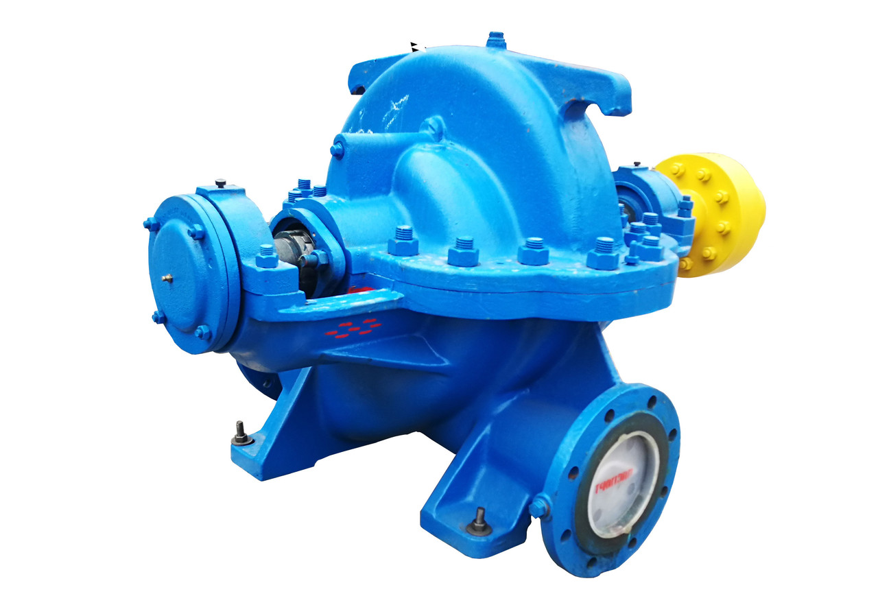 Насос Типа 1Д 250-125, фото 1