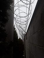 Спиральный барьер безопасности Егоза 500 (СББ Егоза 500-50-3)