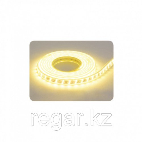 Лента светодиодная LED COLORADO (220-240V) влагозащищенная 3000К