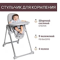 Chicco: Стульчик для кормления Polly Armonia Steel