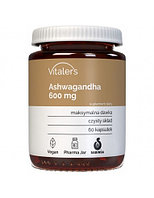 Фотодағы бидегі секс Майлы шлюха күйеуінің бәріне конча