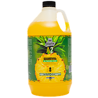 Шампунь для ручной мойки с воском LERATON A2 3,8л