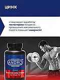 Витамины для мужчин Andro Force & Power, аргинин цинк тестостерон для выносливости и потенции, фото 8