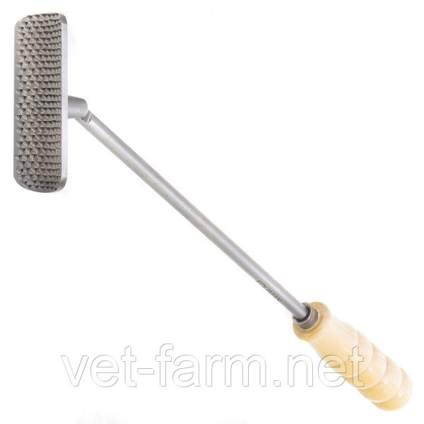 Рашпиль для подпиливания зубов с деревянной ручкой, фото 1