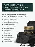 Алтайский нектар МУМИЕ вязкая масса 50г., фото 3