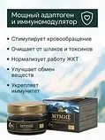 Алтайский нектар МУМИЕ вязкая масса 50г., фото 5