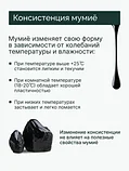 Алтайский нектар МУМИЕ вязкая масса 50г., фото 10