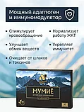 Алтайский нектар МУМИЕ в таблетках 20 т., фото 5