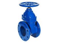 Задвижки чугунные обрезиненные SL12 Ру 16 50 мм