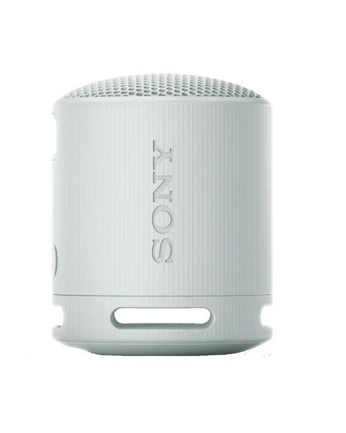 Sony SRS-XB100/HCE Колонка портативная беспроводная SRS-XB100 серый