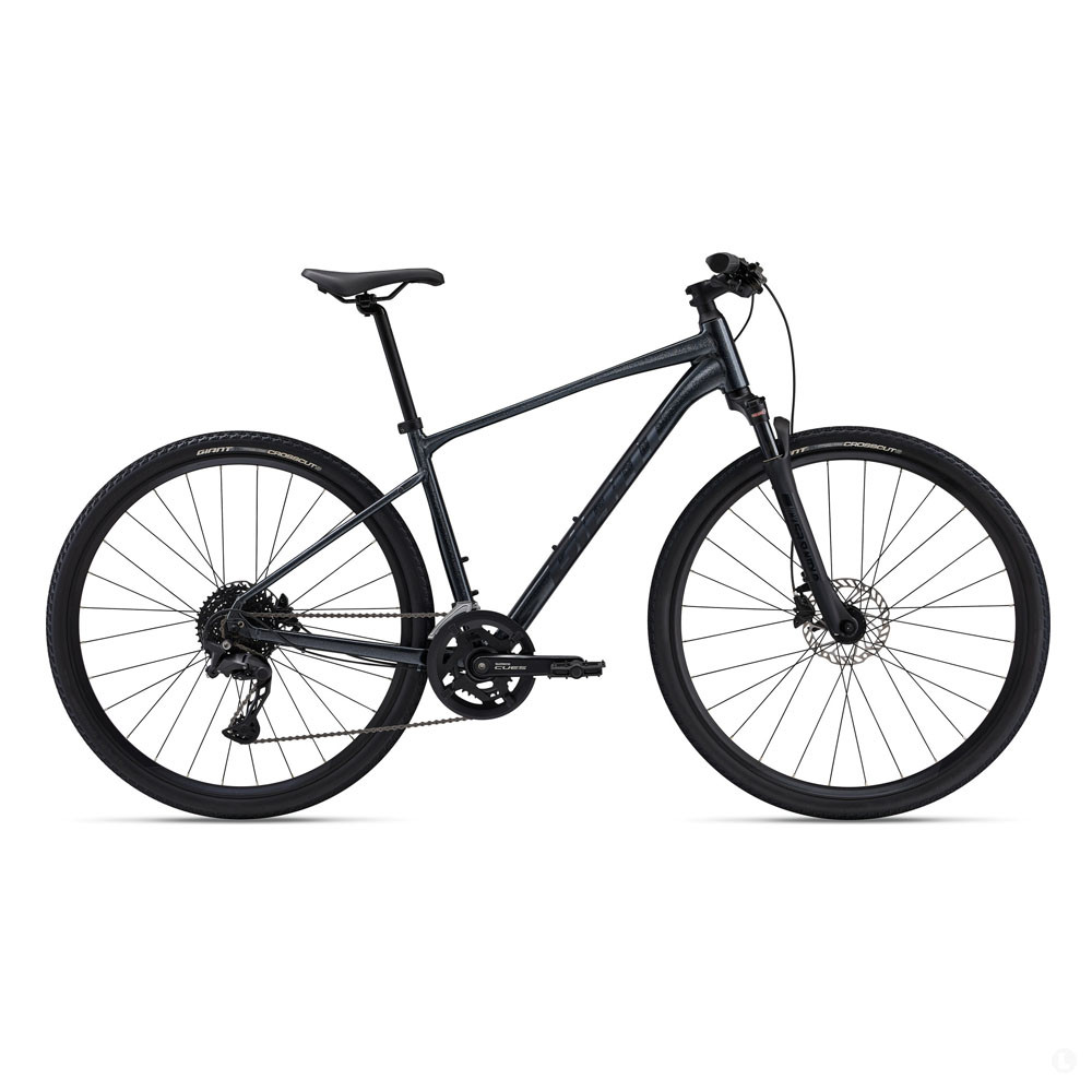Велосипед Giant Roam 1 Disc - 2024