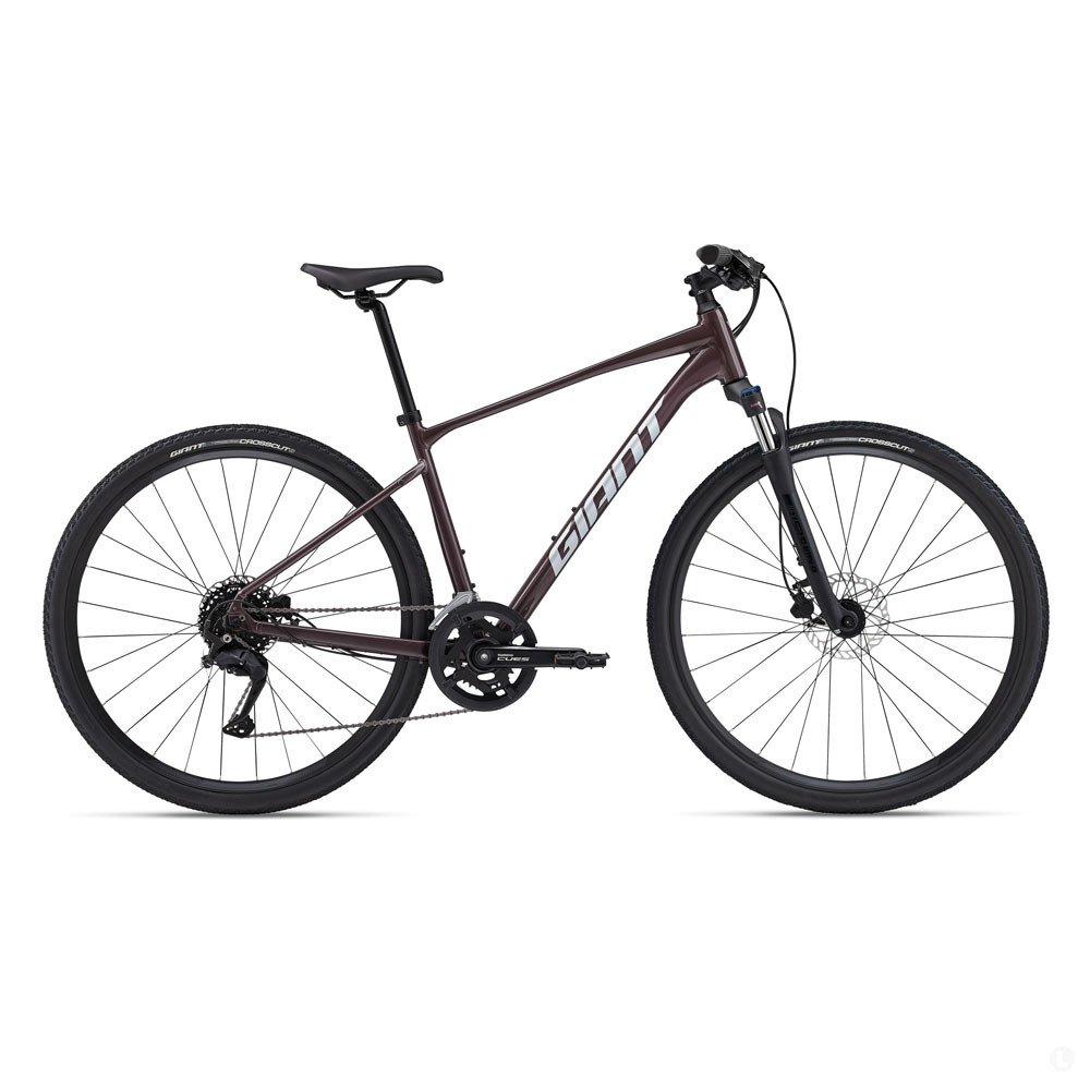 Велосипед Giant Roam 2 Disc - 2024, фото 1