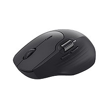 Компьютерная мышь Rapoo MT560 Black 2-028256