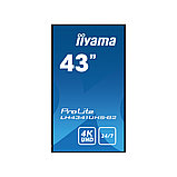 Монитор iiyama PROLITE LH4341UHS-B2 43", фото 3