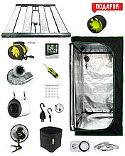 Гроубокс  под ключ Prime (80 х 80 х 160 см) + Светильник Win Light  Fusion 200 W (Full Spectrum)