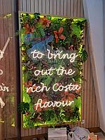 Проект: Оформление Costa Coffee в Астане 7