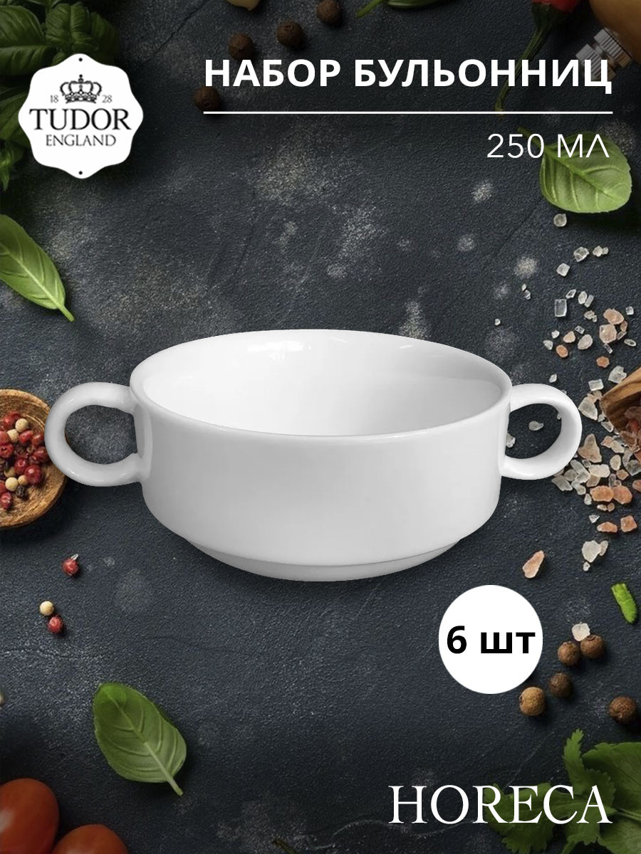 Бульонница 250 мл с ручками HORECA TU1101-2 (набор 6шт) TUDOR