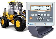 Весы для фронтального погрузчика, погрузка вагонов Pegasus-2 (Италия)