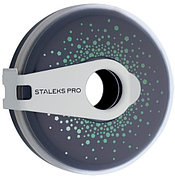 Staleks сменные файлы для пилки Exclusive 100 грит 1 шт