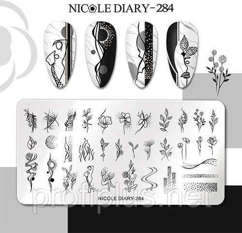Nicole Diary пластины 284
