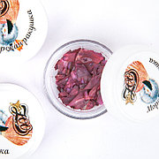 Морская ракушка 1 шт