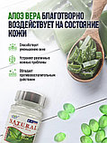 Мягкая капсула Алоэ Вера для ЖКТ100 капсул, фото 5