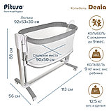 Колыбель Pituso 3 в 1 Denia Grey, фото 2