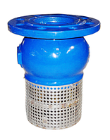 Донный обратный клапан с сеткой DN50