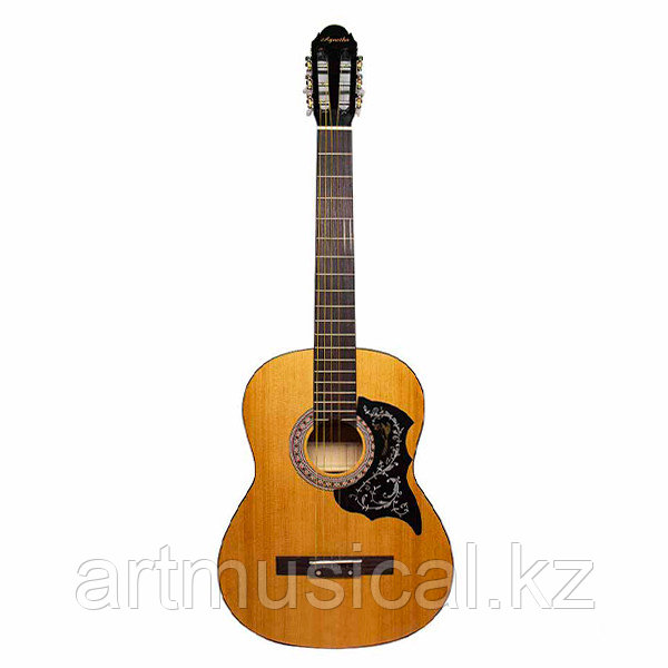 Гитара акустическая Agnetha ACG-E133 NT