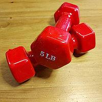 Виниловые Прорезиновые Гантели для спорта и фитнеса 5LB (5 фунтов=454 гр * 5=2,27 кг). 2 шт. в комплекте.