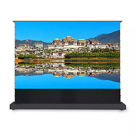 Экран моторизированный Deluxe FJ5-R100H (pvc светоотражающий) 221x 125