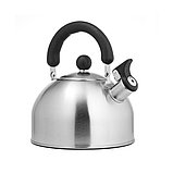 Чайник LARA LR00-40 матовый, фото 2
