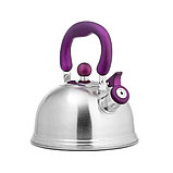 Чайник LARA LR00-61 матовый, фото 2