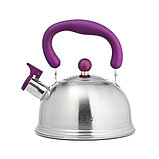 Чайник LARA LR00-61 матовый, фото 3