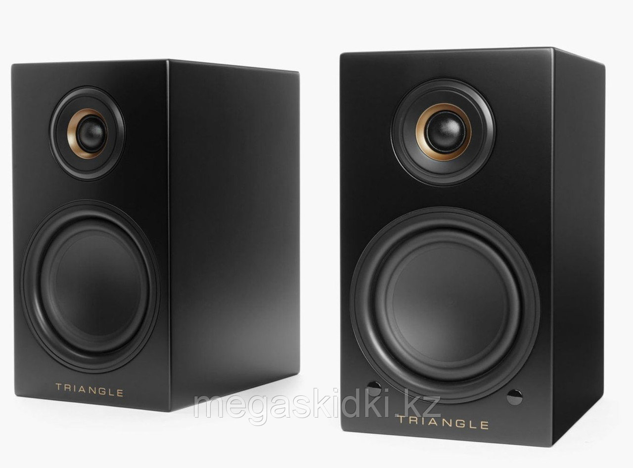 Активная акустика Triangle ELARA LN01A Black