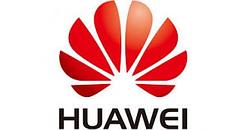 Дисковая полка HUAWEI D2-SAS-DAE25-2U-FX Dorado 2020 (2U  25*2.5" SAS Disk Slots  4*MiniSAS HD 12Gbs  AC