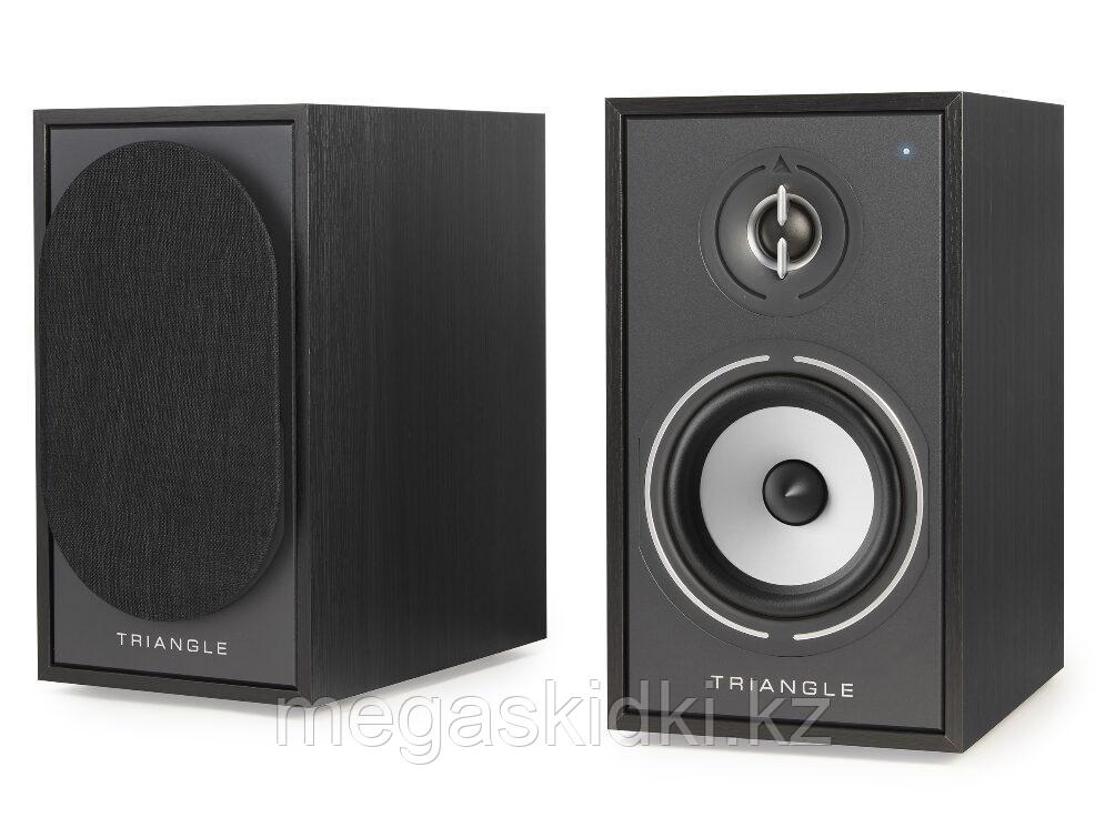 Активная акустика Triangle BOREA BR02 Connect Black Ash, фото 1