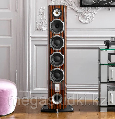 Напольная акустика Triangle MAGELLAN Quatuor 40th Zebrano, фото 1