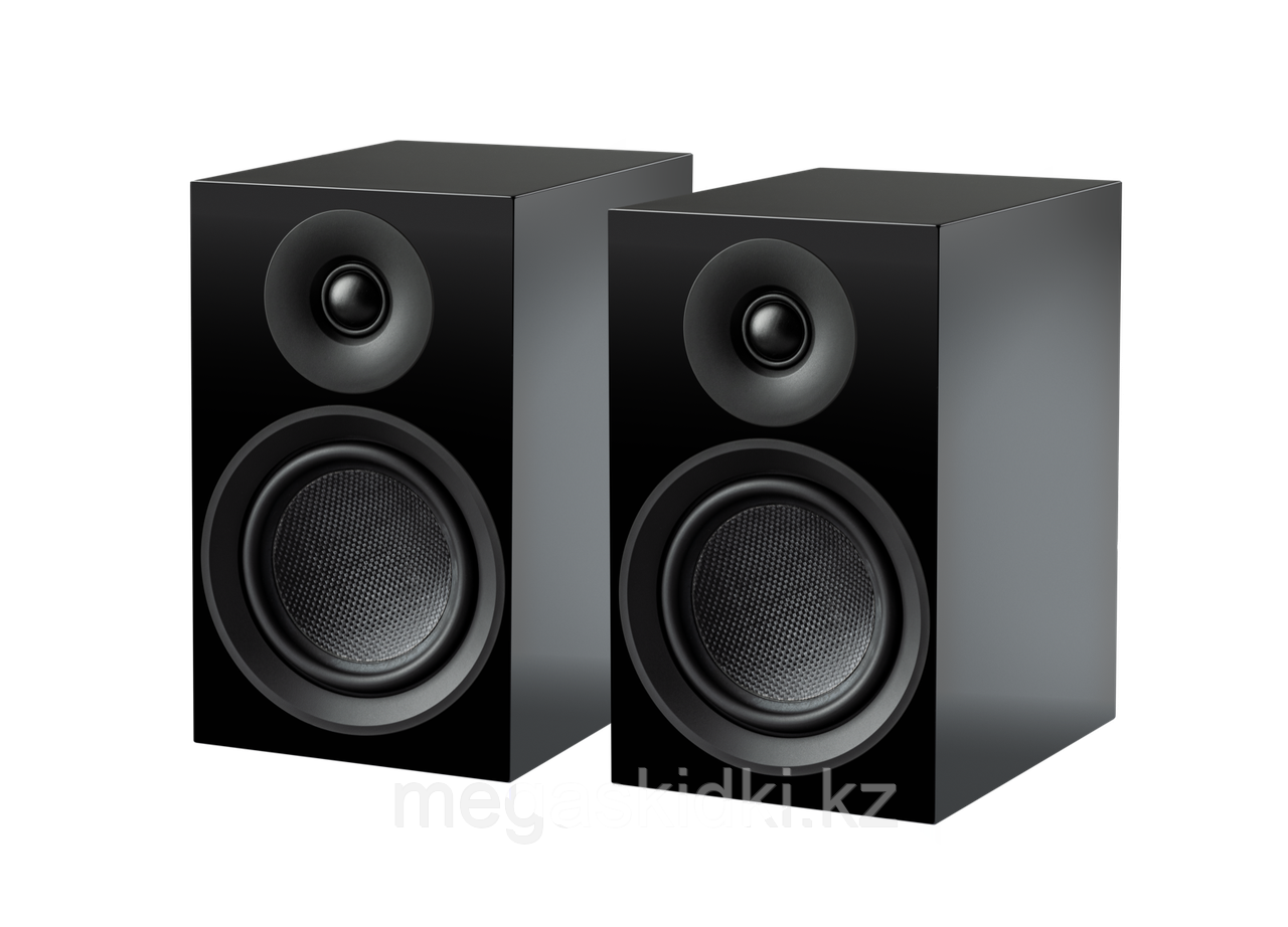 Полочная акустика PRO-JECT Speaker Box 5 E Carbon Сатиновый черный