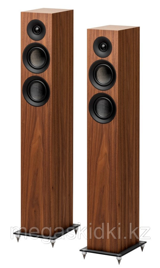 Напольная акустика PRO-JECT Speaker Box 10 E Carbon Орех, фото 1