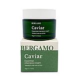 BERGAMO КРЕМ ДЛЯ ЛИЦА С ЭКСТРАКТОМ ИКРЫ CAVIAR ESSENTIAL INTENSIVE CREAM, фото 3