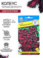 Семена цветов Колеус "Черный дракон" F1, О, 10 шт