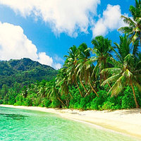 Душ эмоций «Тёплые Тропики» Grandis