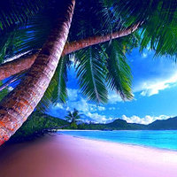 Душ эмоций «Освежающие Тропики» Grandis