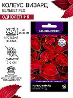 Семена цветов Колеус Визард Вельвет ред, 10шт