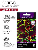 Семена цветов Колеус Визард Скарлет, 10шт