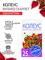 Семена цветов Колеус "Визард Скарлет", 10 шт