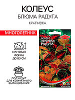 Семена комнатных цветов Колеус "Блюма Радуга", 130 шт.